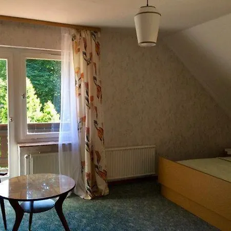 Apartment Ferienwohnung-momo-villa-strawalde-altenau-oberharz Altenau (Lower-Saxony)