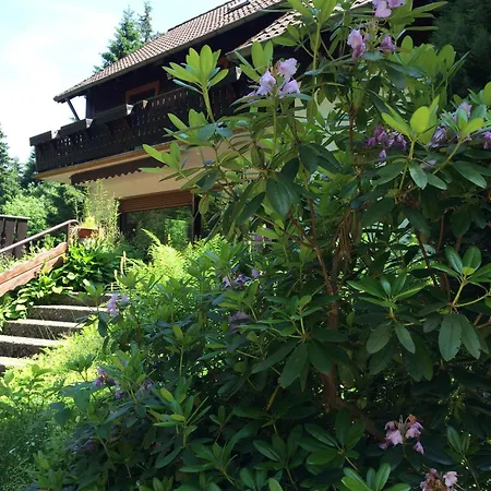 Ferienwohnung-momo-villa-strawalde-altenau-oberharz Apartment