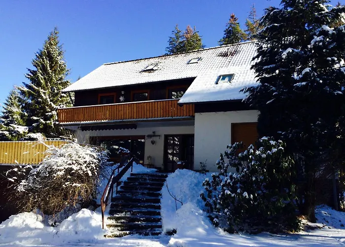 Ferienwohnung-momo-villa-strawalde-altenau-oberharz Daire