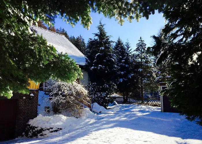 Ferienwohnung-momo-villa-strawalde-altenau-oberharz Daire *