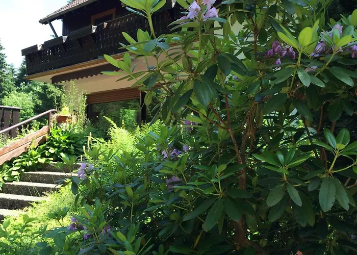 Ferienwohnung-momo-villa-strawalde-altenau-oberharz Daire